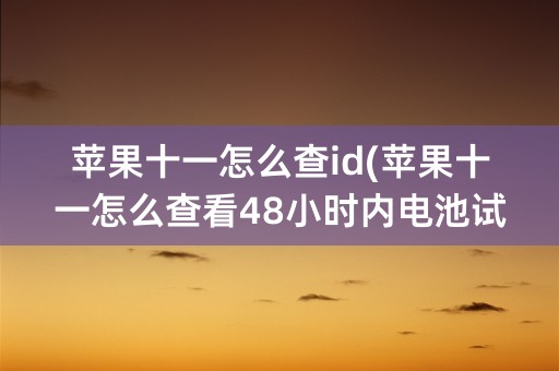 苹果十一怎么查id(苹果十一怎么查看48小时内电池试用详情)