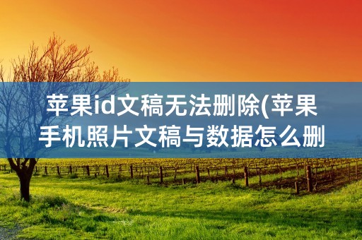 苹果id文稿无法删除(苹果手机照片文稿与数据怎么删除)