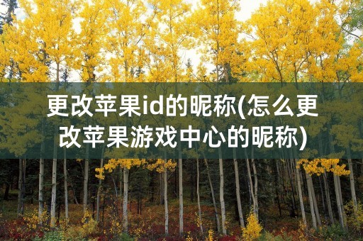 更改苹果id的昵称(怎么更改苹果游戏中心的昵称)