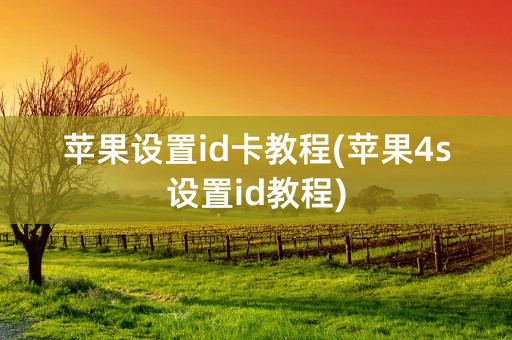 苹果设置id卡教程(苹果4s设置id教程)