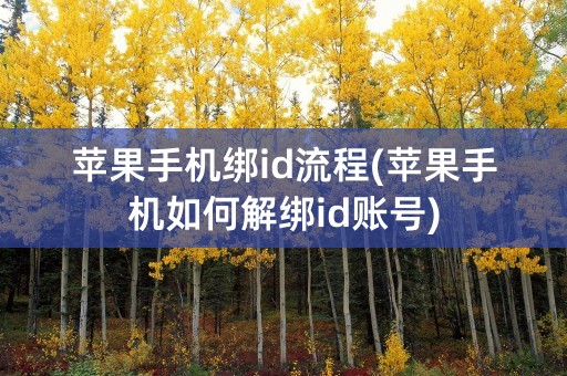 苹果手机绑id流程(苹果手机如何解绑id账号)