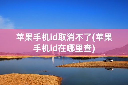 苹果手机id取消不了(苹果手机id在哪里查)