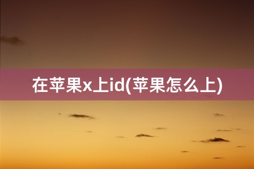 在苹果x上id(苹果怎么上)