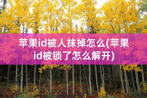 苹果id被人抹掉怎么(苹果id被锁了怎么解开)