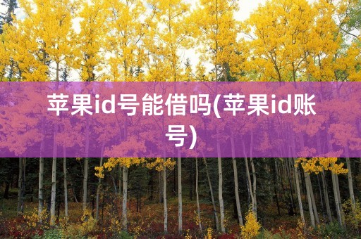 苹果id号能借吗(苹果id账号)