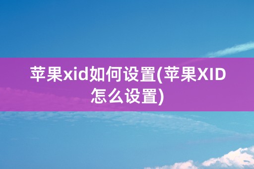 苹果xid如何设置(苹果XID怎么设置)