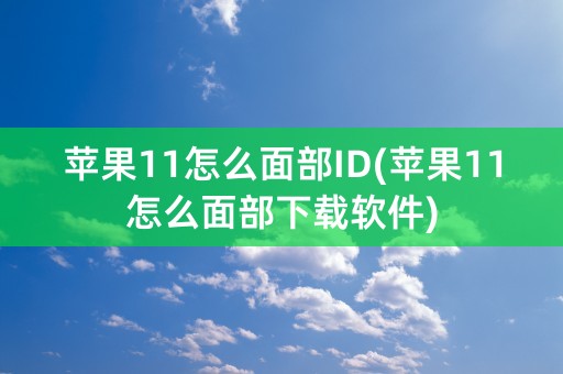 苹果11怎么面部ID(苹果11怎么面部下载软件)