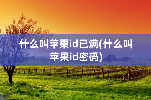 什么叫苹果id已满(什么叫苹果id密码)