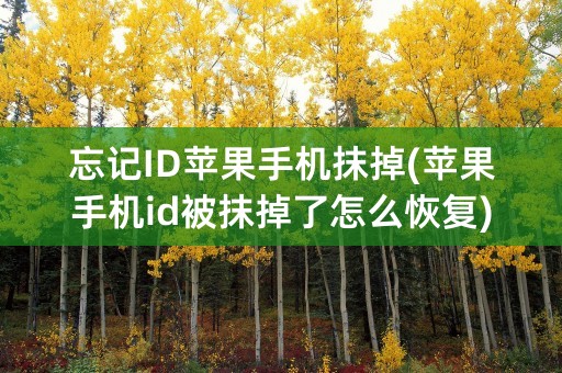 忘记ID苹果手机抹掉(苹果手机id被抹掉了怎么恢复)