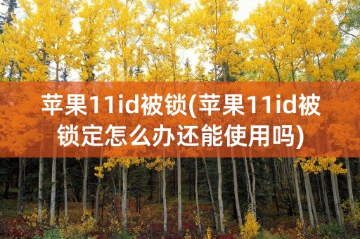 苹果11id被锁(苹果11id被锁定怎么办还能使用吗)