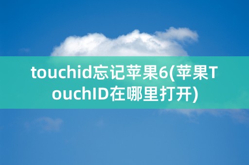 touchid忘记苹果6(苹果TouchID在哪里打开)