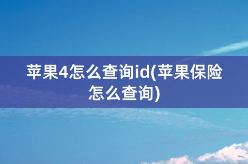 苹果4怎么查询id(苹果保险怎么查询)