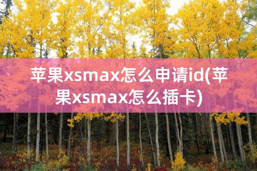 苹果xsmax怎么申请id(苹果xsmax怎么插卡)