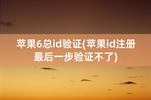 苹果6总id验证(苹果id注册最后一步验证不了)