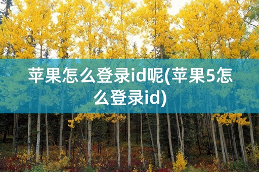 苹果怎么登录id呢(苹果5怎么登录id)