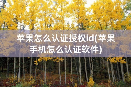 苹果怎么认证授权id(苹果手机怎么认证软件)