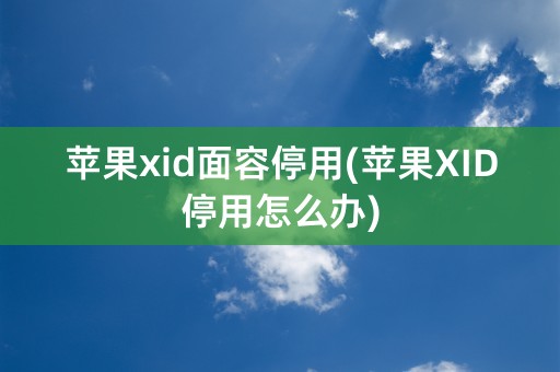 苹果xid面容停用(苹果XID停用怎么办)