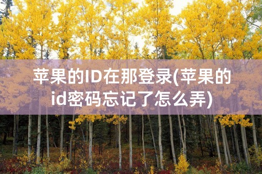 苹果的ID在那登录(苹果的id密码忘记了怎么弄)