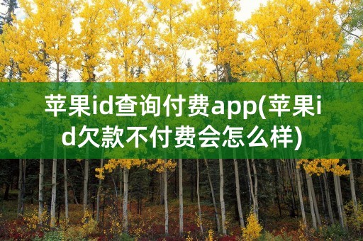 苹果id查询付费app(苹果id欠款不付费会怎么样)