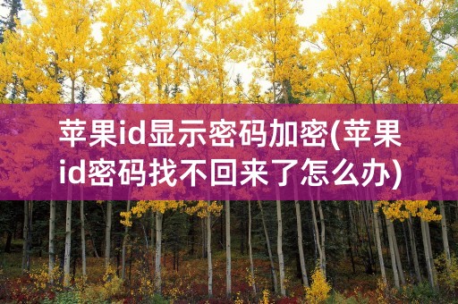 苹果id显示密码加密(苹果id密码找不回来了怎么办)