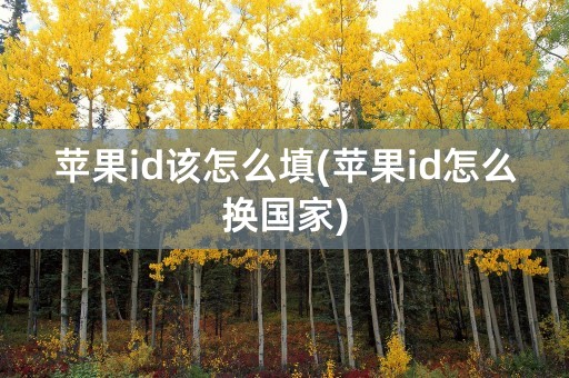 苹果id该怎么填(苹果id怎么换国家)