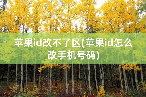 苹果id改不了区(苹果id怎么改手机号码)