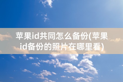 苹果id共同怎么备份(苹果id备份的照片在哪里看)