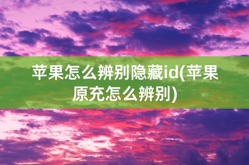 苹果怎么辨别隐藏id(苹果原充怎么辨别)