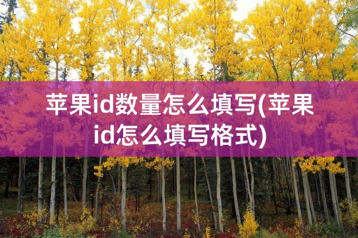 苹果id数量怎么填写(苹果id怎么填写格式)