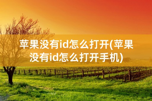 苹果没有id怎么打开(苹果没有id怎么打开手机)