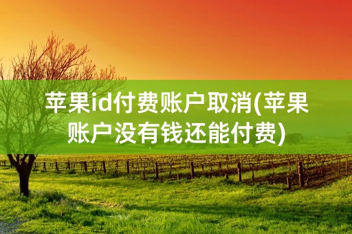 苹果id付费账户取消(苹果账户没有钱还能付费)