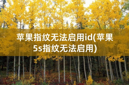 苹果指纹无法启用id(苹果5s指纹无法启用)