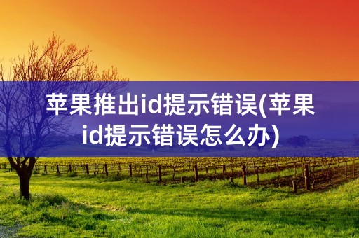 苹果推出id提示错误(苹果id提示错误怎么办)