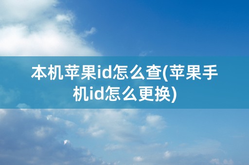 本机苹果id怎么查(苹果手机id怎么更换)