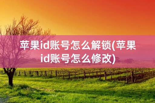 苹果id账号怎么解锁(苹果id账号怎么修改)