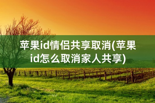 苹果id情侣共享取消(苹果id怎么取消家人共享)