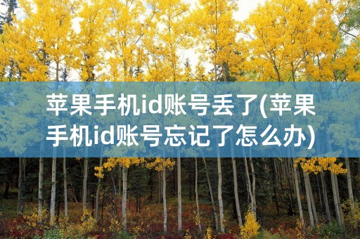 苹果手机id账号丢了(苹果手机id账号忘记了怎么办)