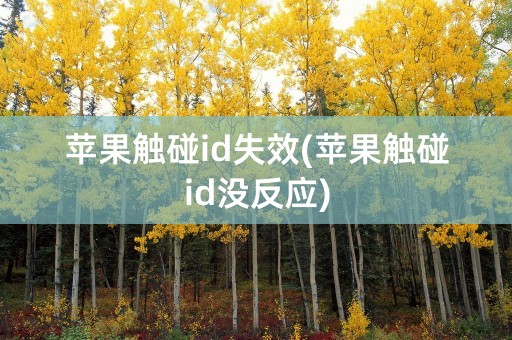 苹果触碰id失效(苹果触碰id没反应)