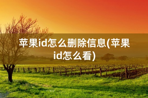 苹果id怎么删除信息(苹果id怎么看)