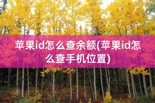 苹果id怎么查余额(苹果id怎么查手机位置)