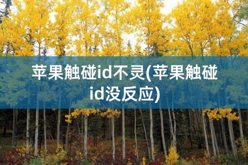 苹果触碰id不灵(苹果触碰id没反应)