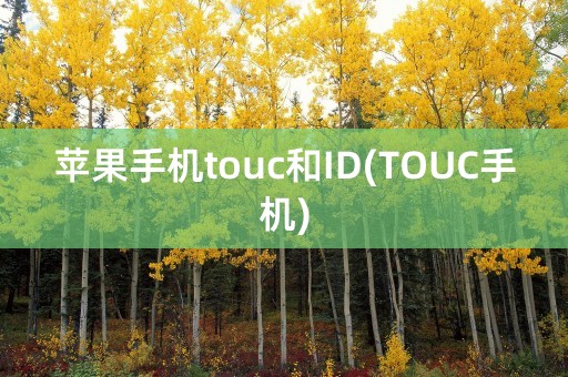 苹果手机touc和ID(TOUC手机)