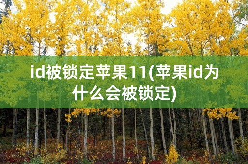 id被锁定苹果11(苹果id为什么会被锁定)