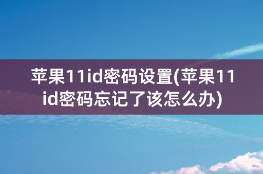 苹果11id密码设置(苹果11id密码忘记了该怎么办)