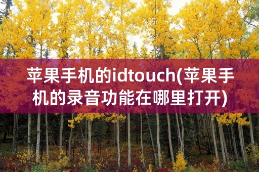 苹果手机的idtouch(苹果手机的录音功能在哪里打开)