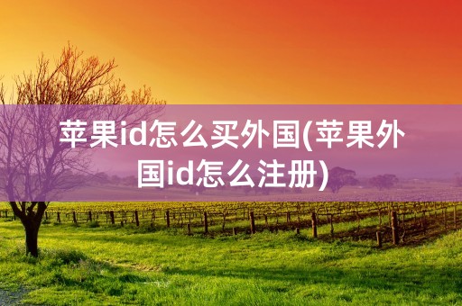 苹果id怎么买外国(苹果外国id怎么注册)