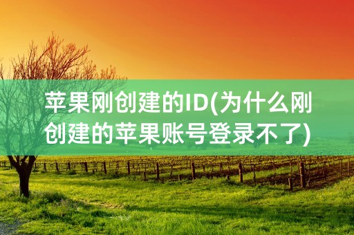 苹果刚创建的ID(为什么刚创建的苹果账号登录不了)