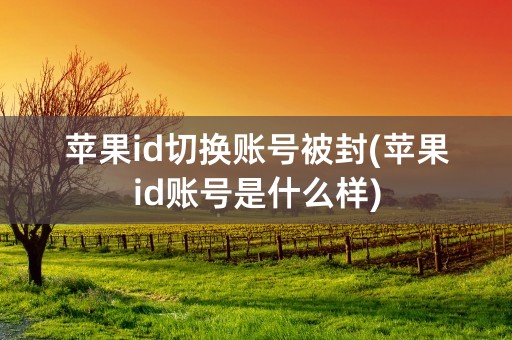 苹果id切换账号被封(苹果id账号是什么样)