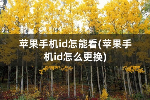 苹果手机id怎能看(苹果手机id怎么更换)