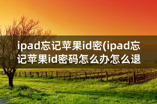 ipad忘记苹果id密(ipad忘记苹果id密码怎么办怎么退出登陆)